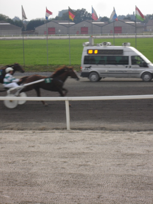 KOERS VOOR 'SPRING'RUITERS  GHLIN